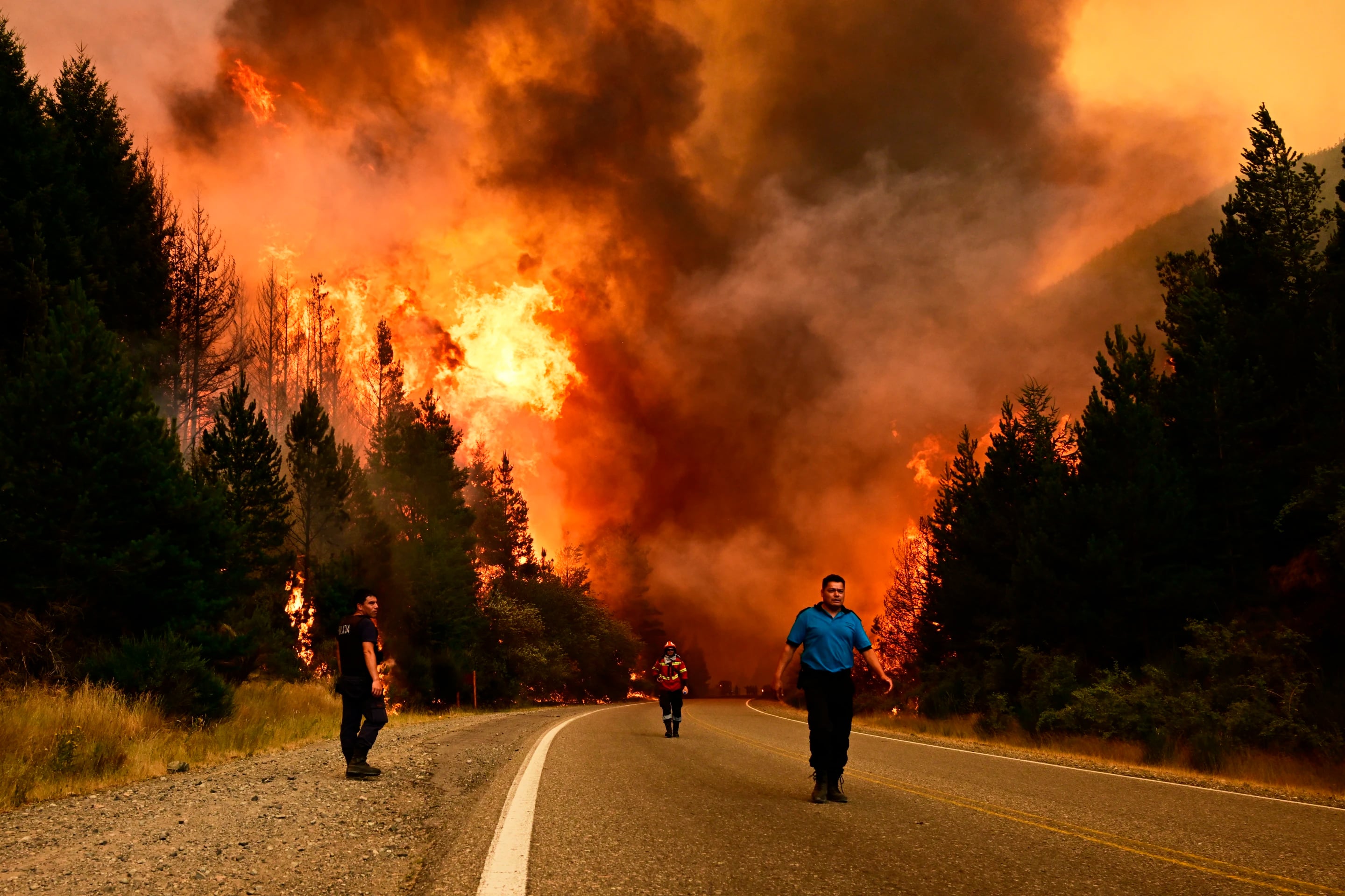 Incendios en la Patagonia son un ‘ecocidio’ que dejara huellas por décadas, alertan ambientalistas